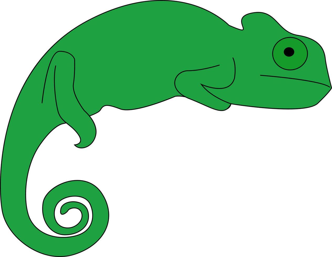 Green chameleon, illustration, vector on white background.