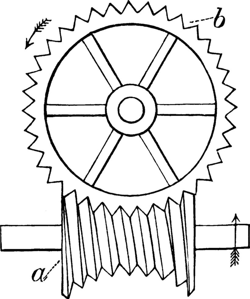 Hindley's Screw, vintage illustration vector
