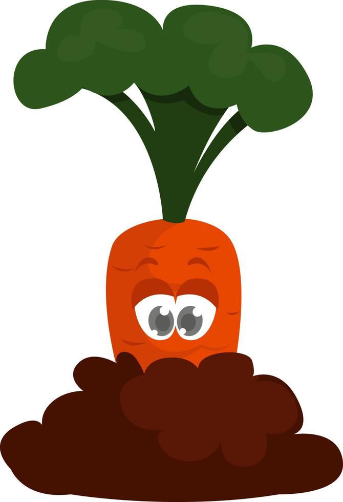 Baby carrot , illustration, vector on white background.