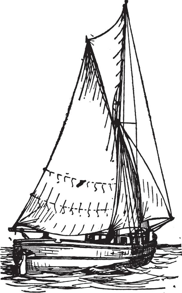 Sloop, vintage illustration. vector