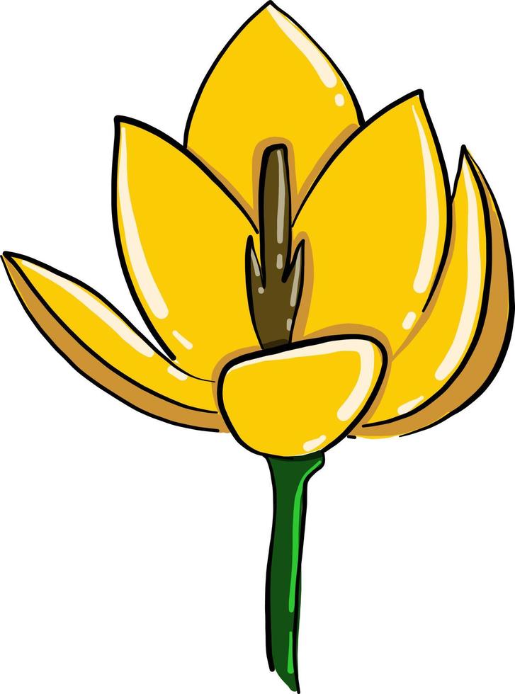 Yellow poppy, illustration, vector on white background