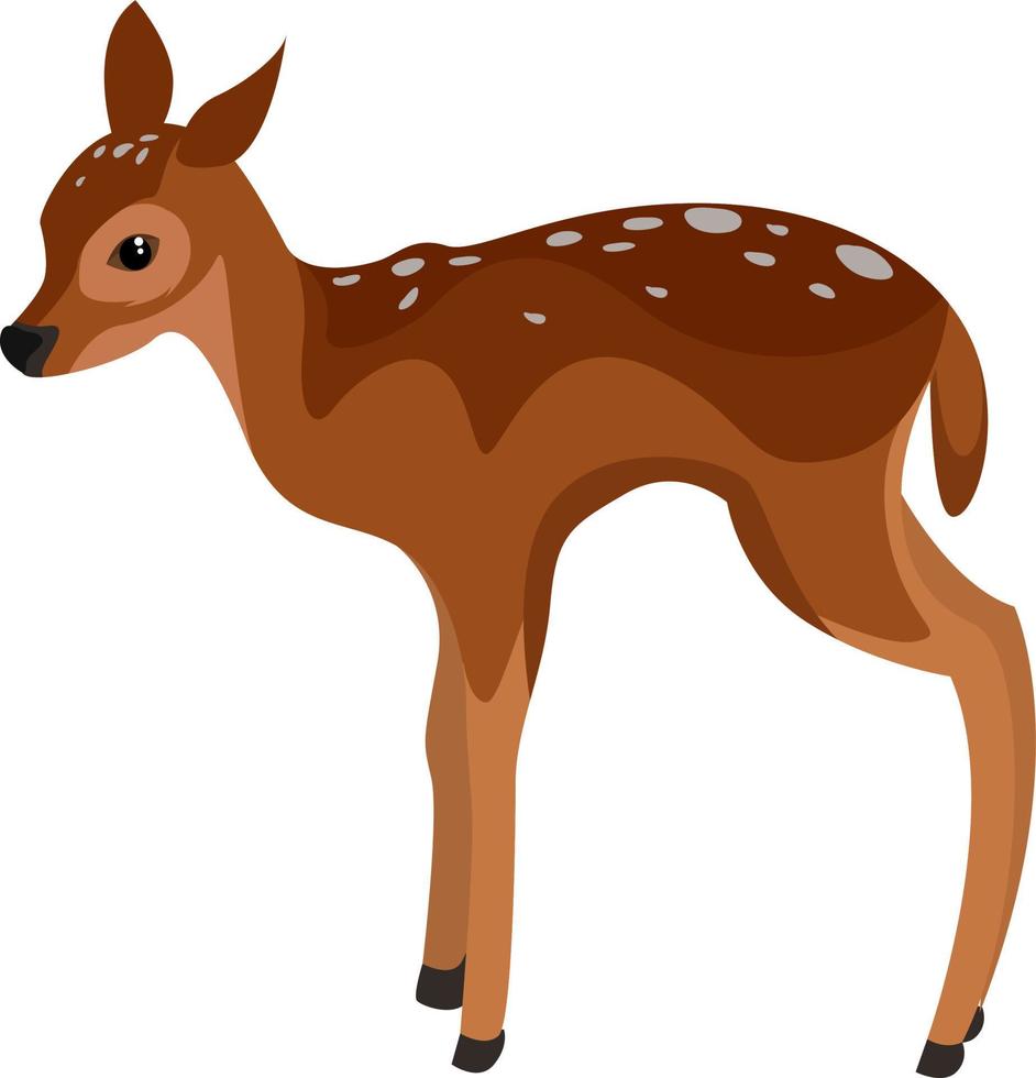 Fawn animal, illustration, vector on white background