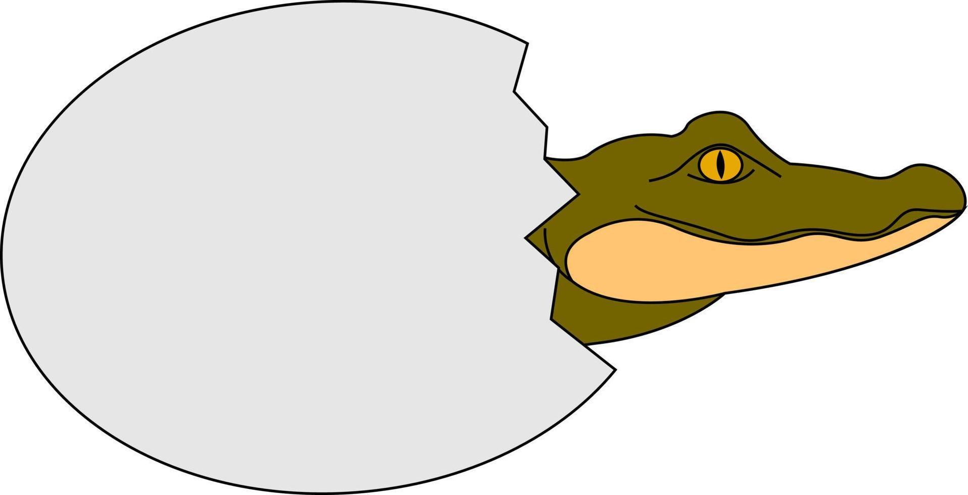 Baby crocodile, illustration, vector on white background.