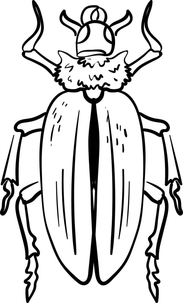 Beetle drawing, illustration, vector on white background.