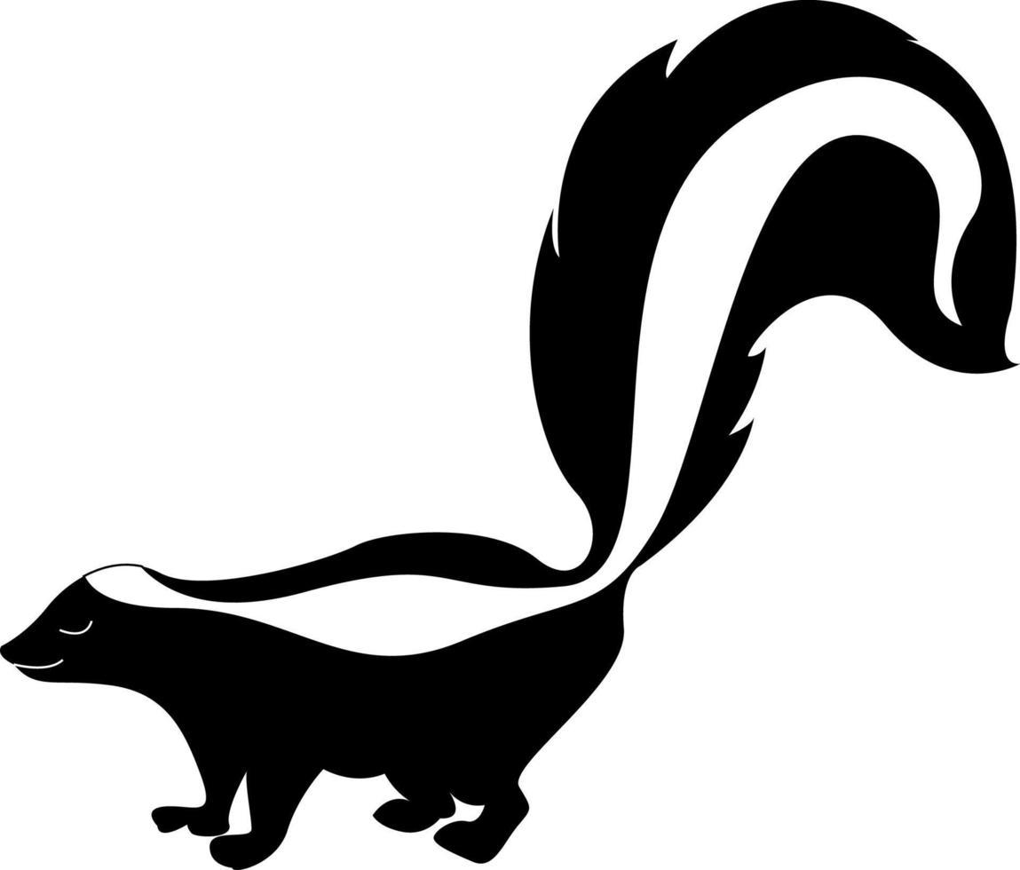 Skunk with big tail, illustration, vector on white background.