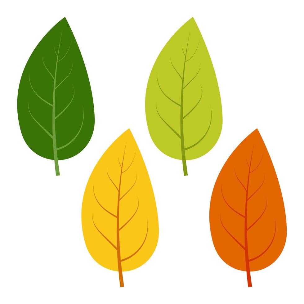 Set of green, yellow and red leaves isolated on white background ...