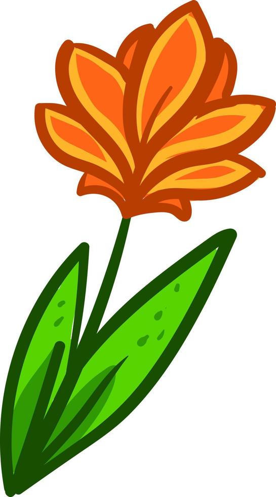 Orange flower , illustration, vector on white background