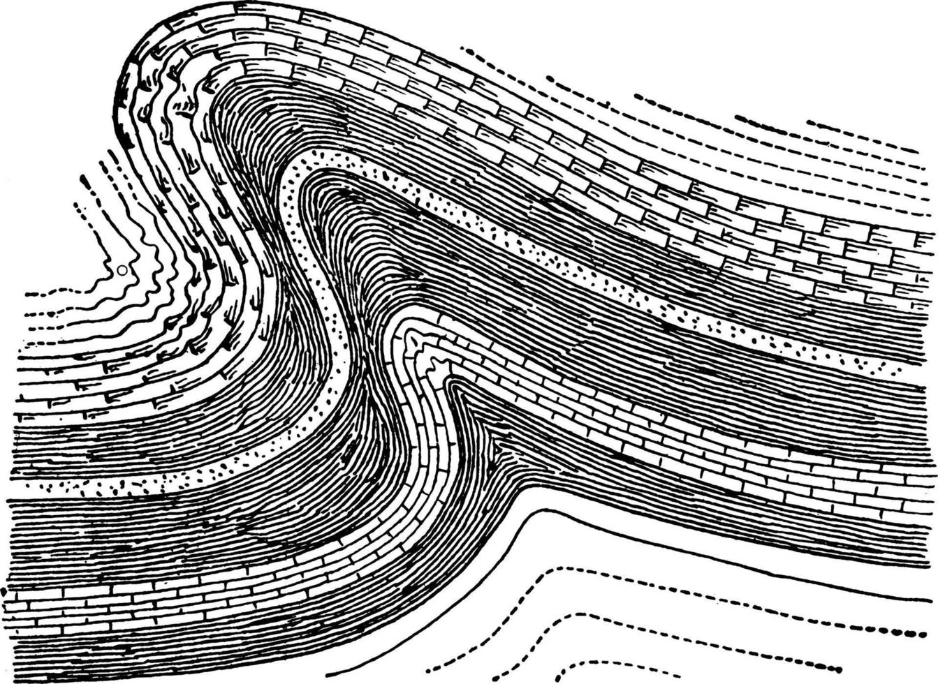 Overthrust Anticline Folds, vintage illustration vector