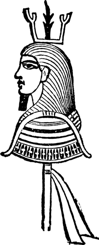 Head of Isis vintage illustration. vector