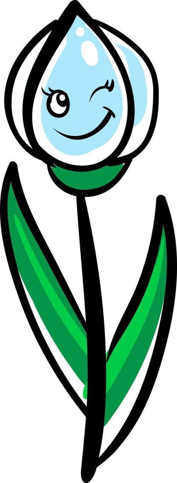 Snow drop flower, illustration, vector on white background.