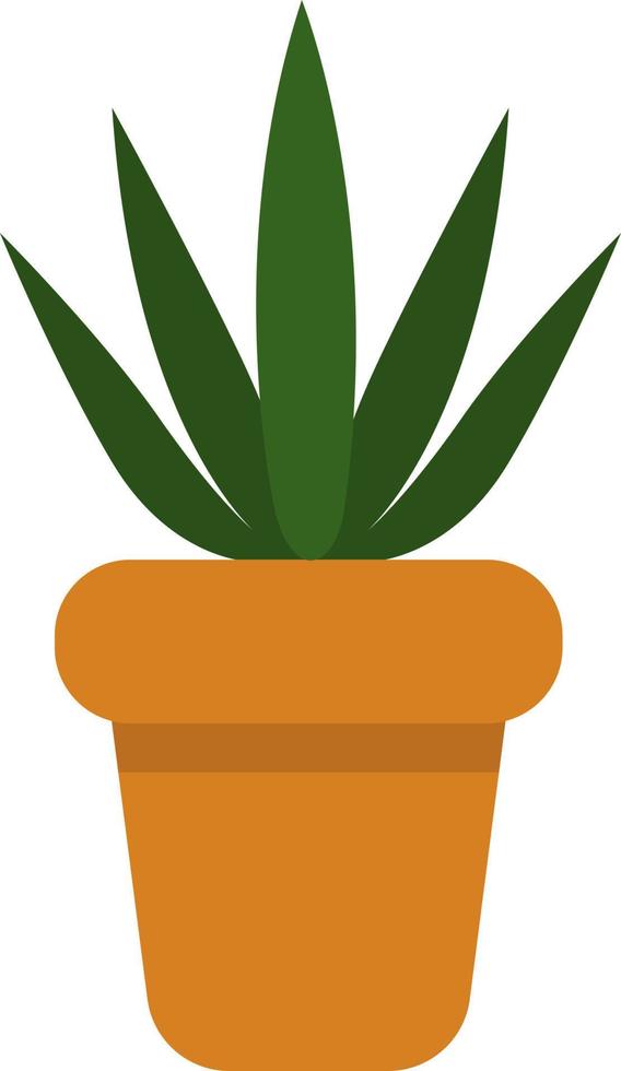 Aloe plant in a pot, icon illustration, vector on white background