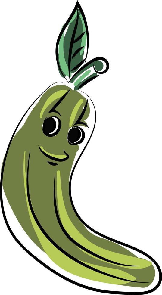 Zucchini, illustration, vector on white background.