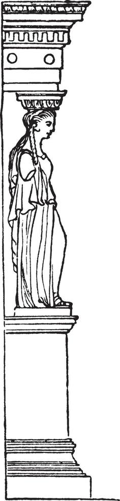 perfil de la caryatis, pedestal y entablamento, grabado antiguo. vector