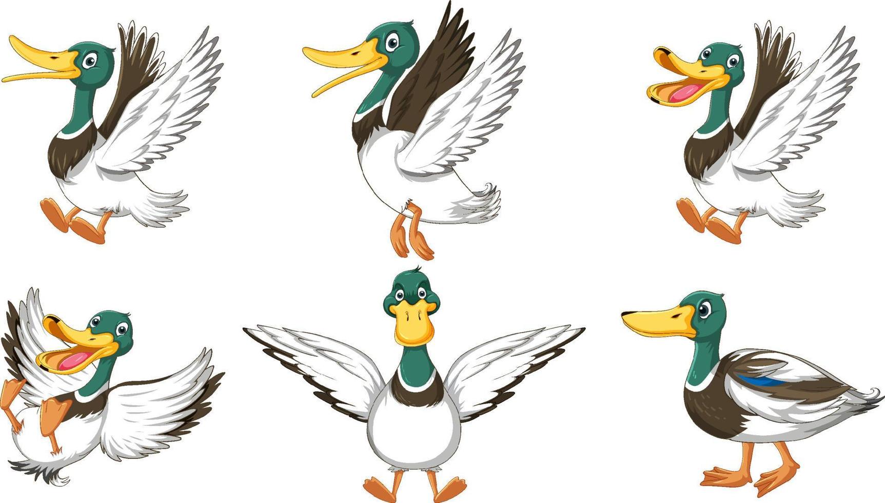 Set of duckling doing different activities vector