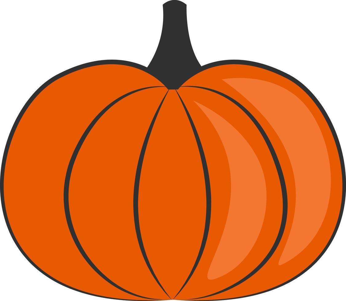 Orange pumpkin, illustration, on a white background. vector