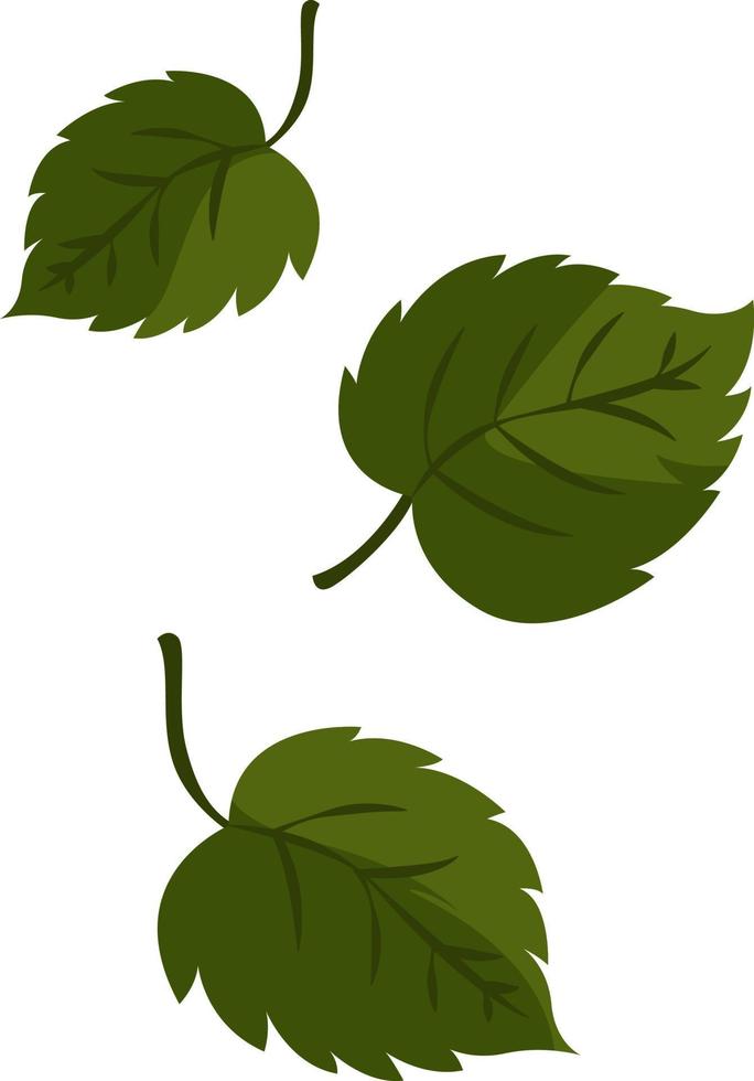 Three green leaves, illustration, vector on white background.