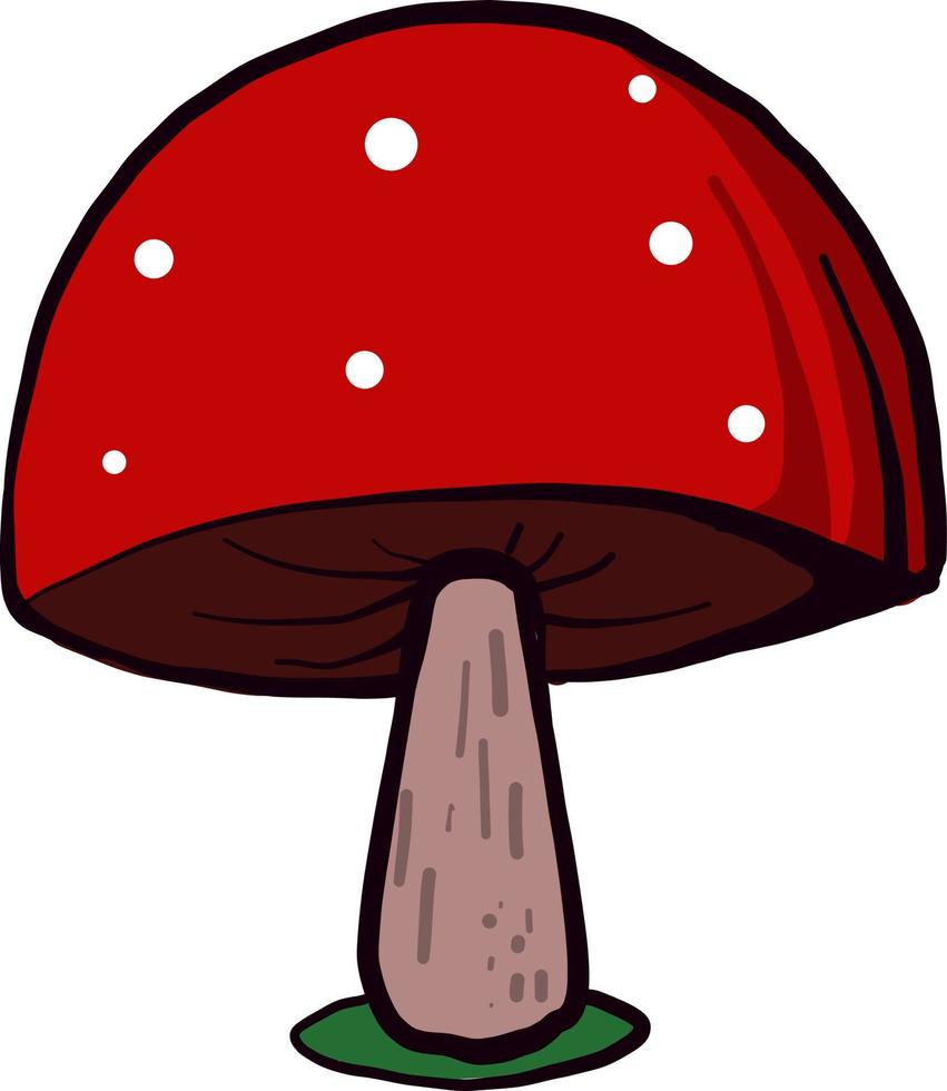 Red mushroom, illustration, vector on white background