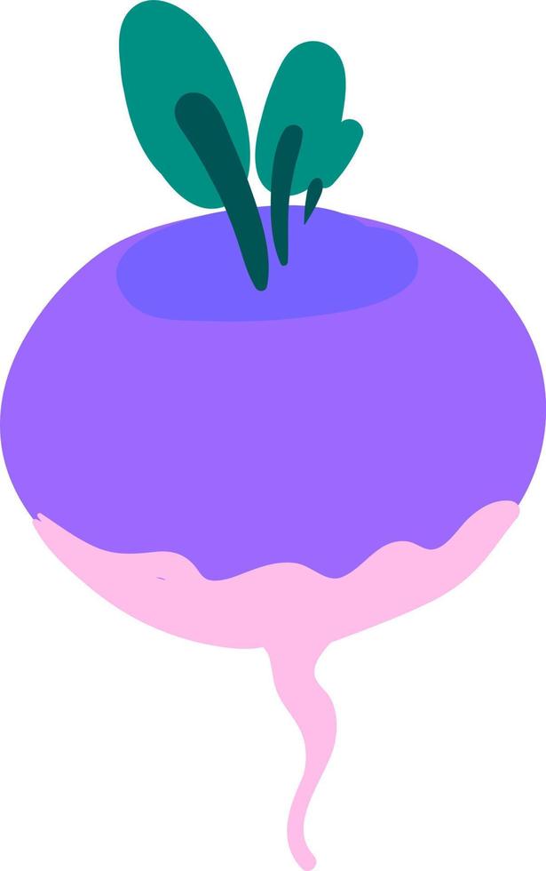 Flat turnip, illustration, vector on white background.