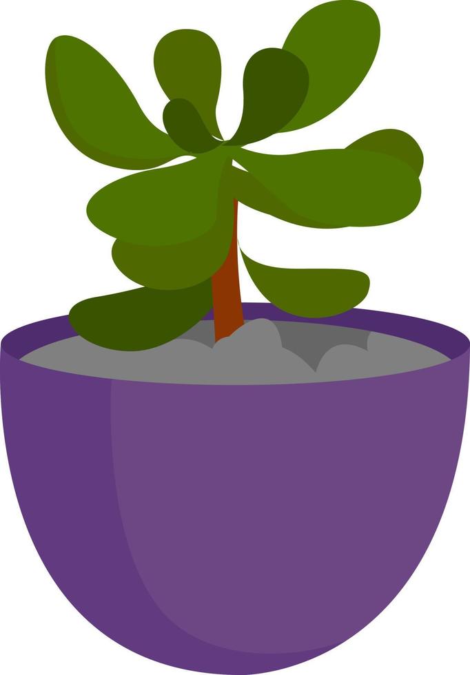 Plant in pot, illustration, vector on white background.
