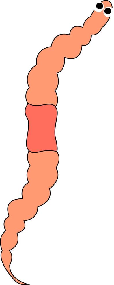 Orange earthworm, illustration, vector on white background.