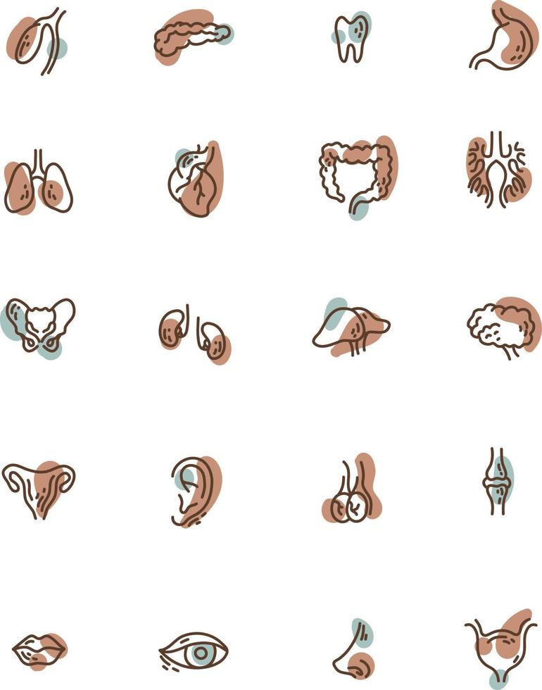 Human parts of body, illustration, vector, on a white background. vector