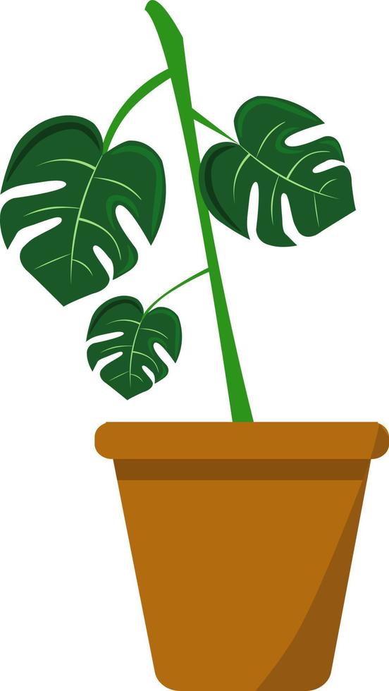 planta en maceta, ilustración, vector sobre fondo blanco.