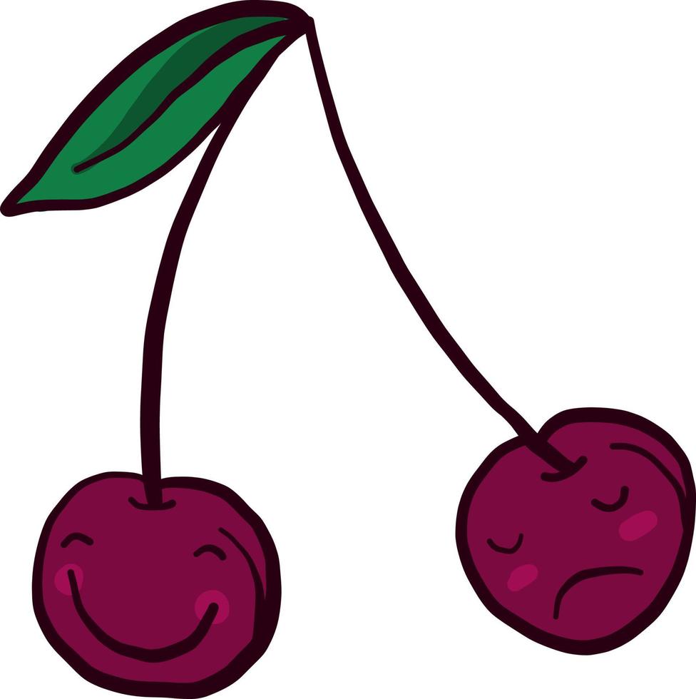 Pair of cherries, illustration, vector on white background