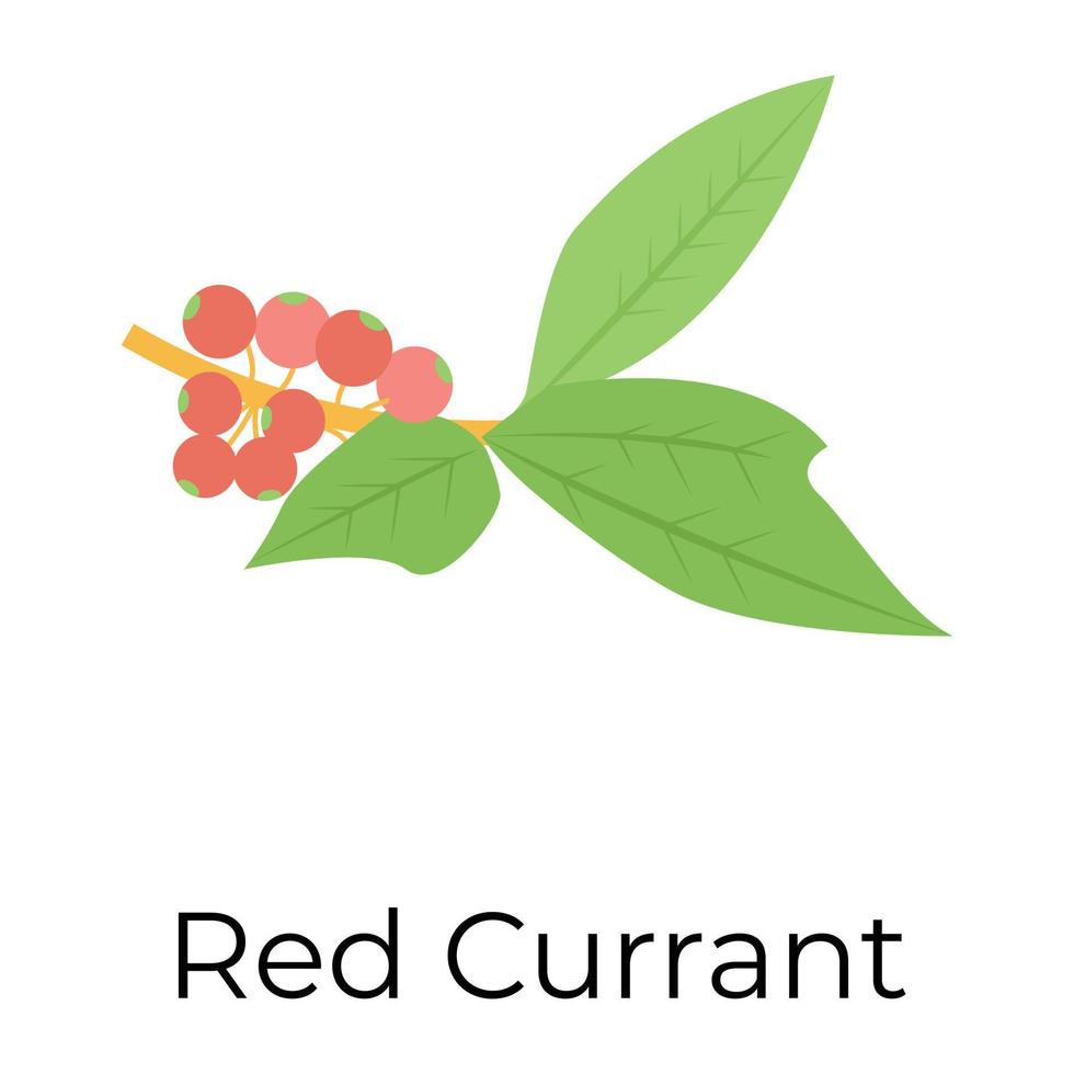 Trendy Red Currant vector