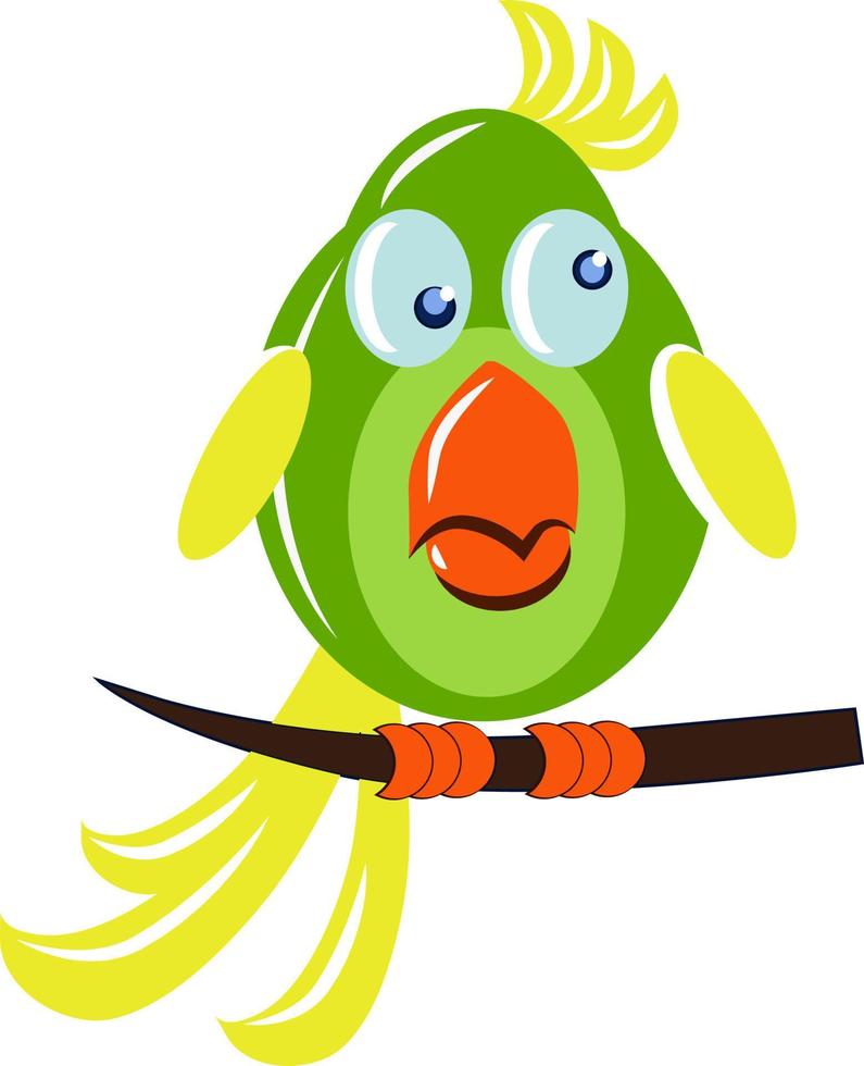 Green parrot, illustration, vector on white background.