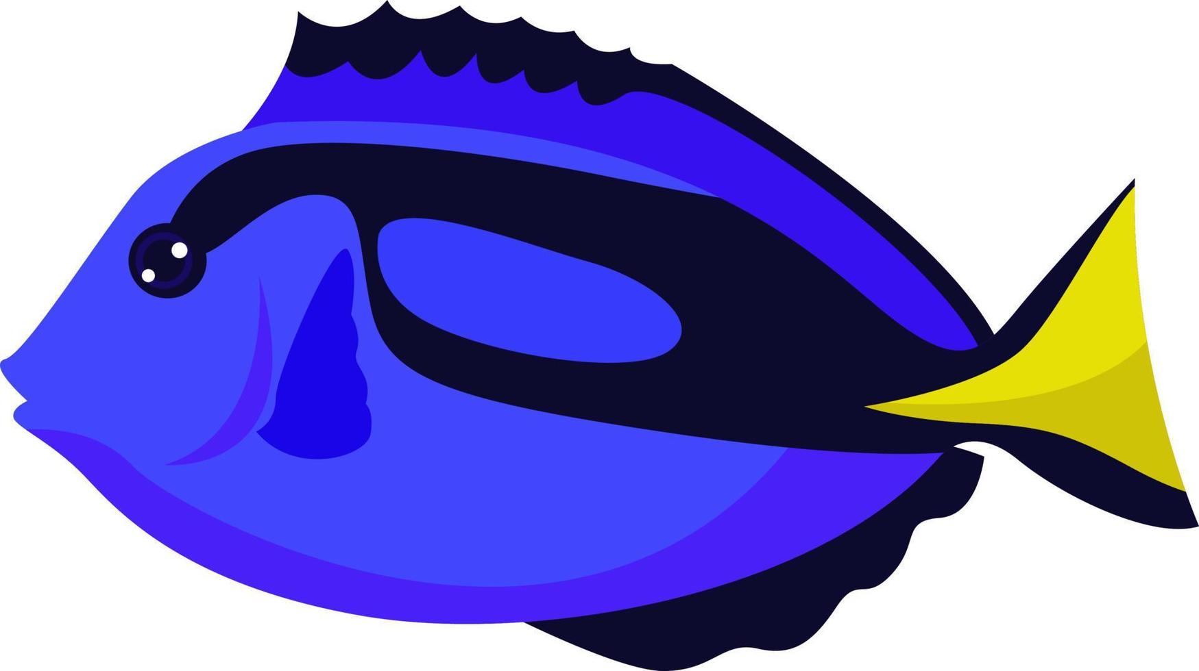 Paracanthurus fish, illustration, vector on white background