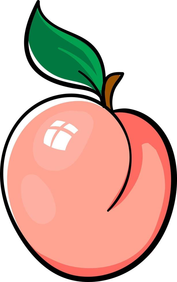 Pink apricot, illustration, vector on a white background.