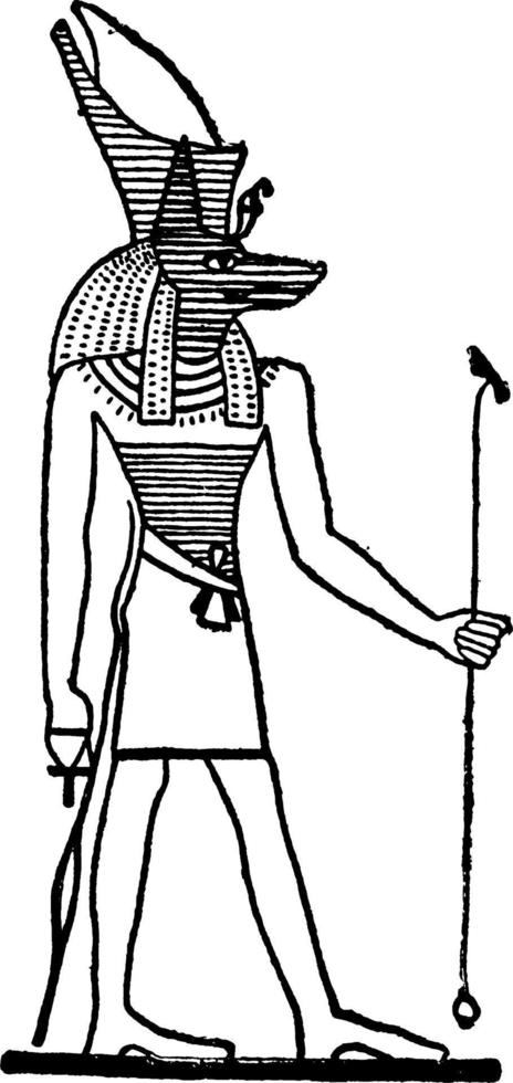ilustración antigua de anubis. vector