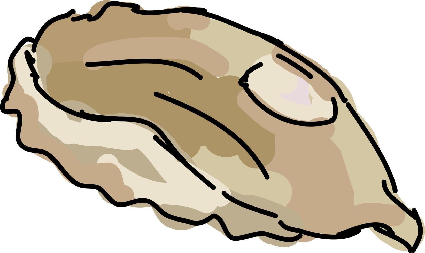 Flounder, illustration, vector on white background.
