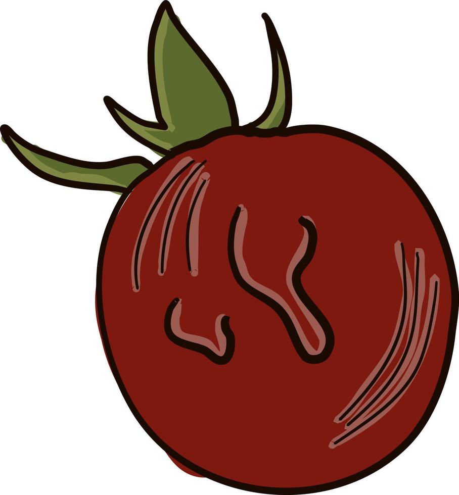 Dibujo de tomate rojo, ilustración, vector sobre fondo blanco.