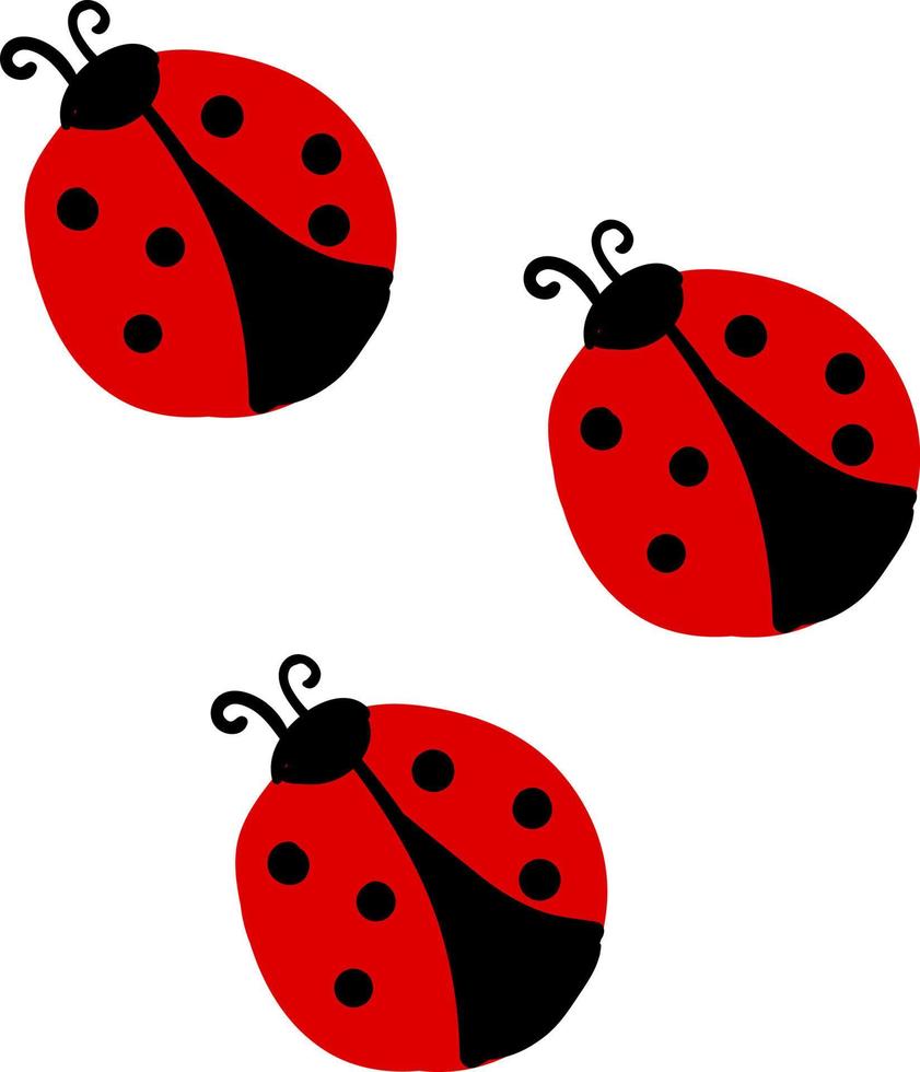 Ladybugs, illustration, vector on white background.