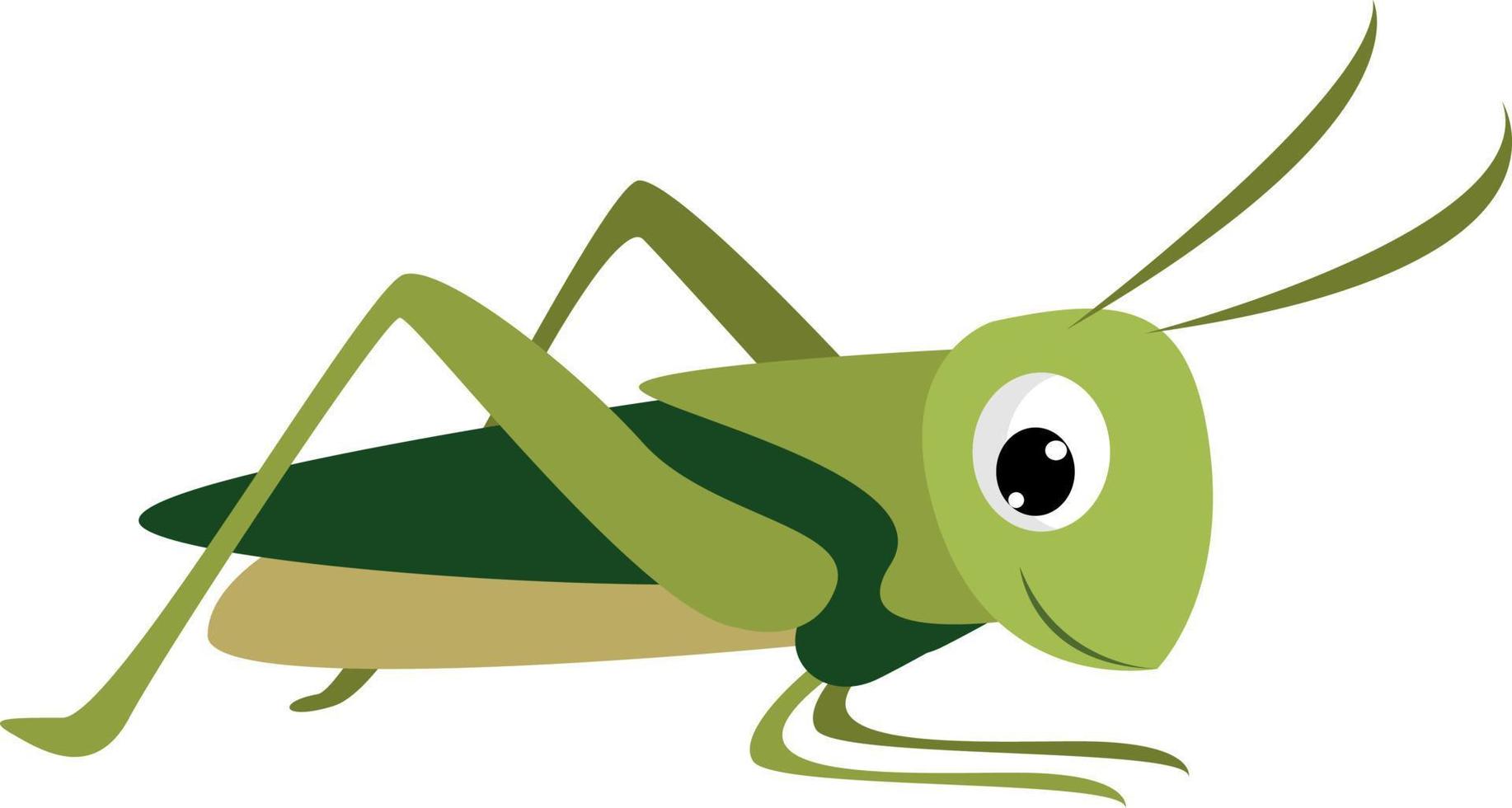 Saltamontes sonriente, ilustración, vector sobre fondo blanco.