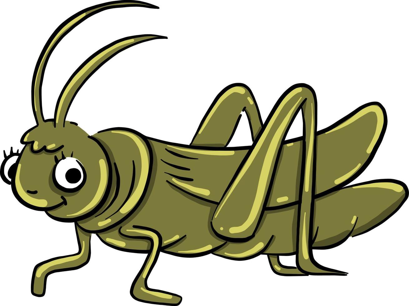 saltamontes verde , ilustración, vector sobre fondo blanco