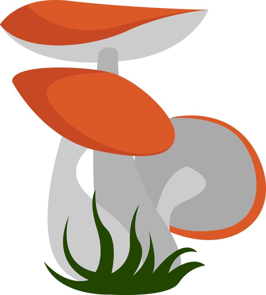 Mushrooms, illustration, vector on white background.