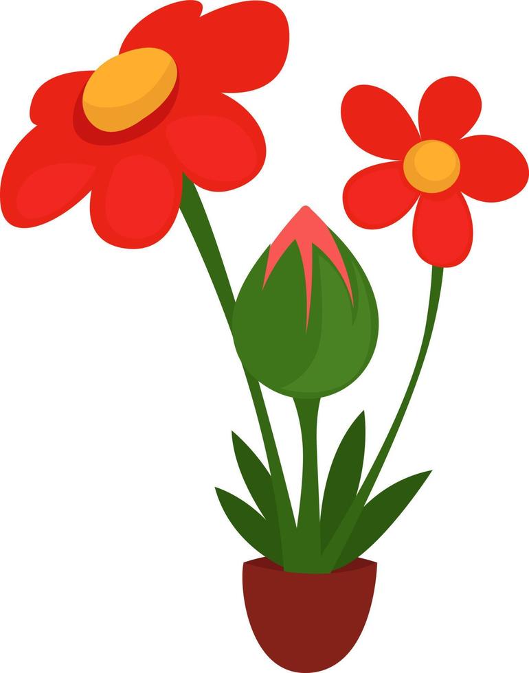 flores en tarro, ilustración, vector sobre fondo blanco