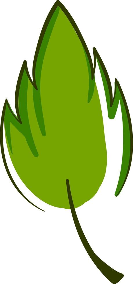 Green leaf, illustration, vector on white background