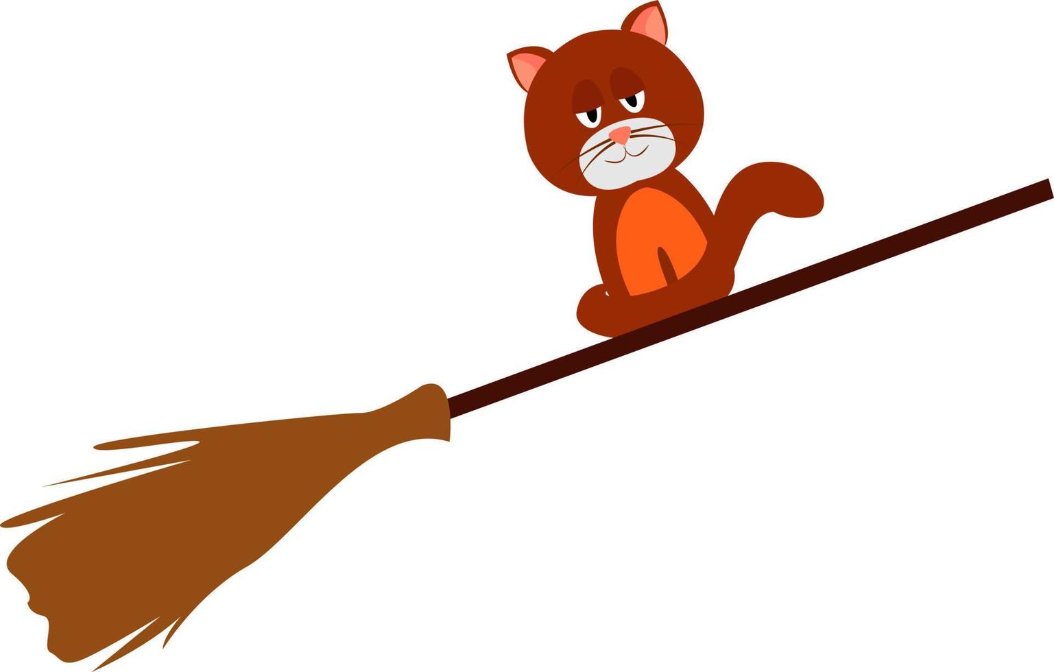 Cat on broom, illustration, vector on white background.