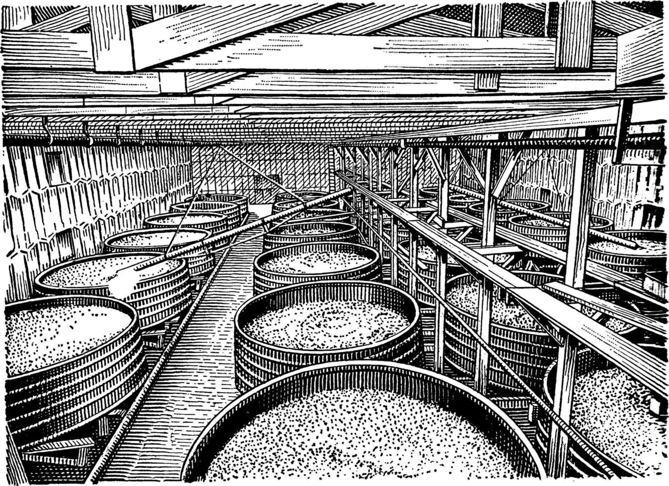 Wine Vats, vintage illustration. vector
