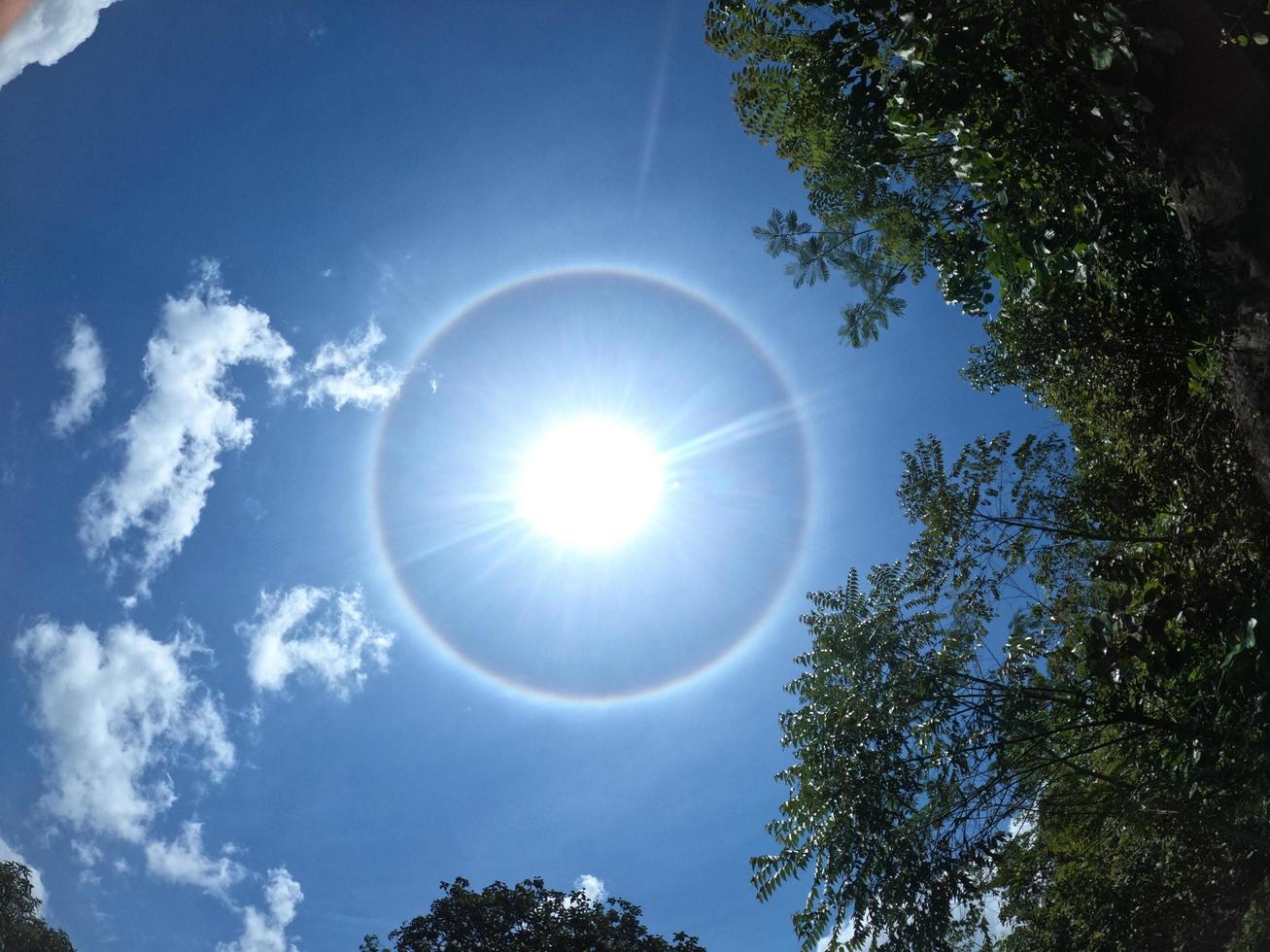 Rings around the sun. photo
