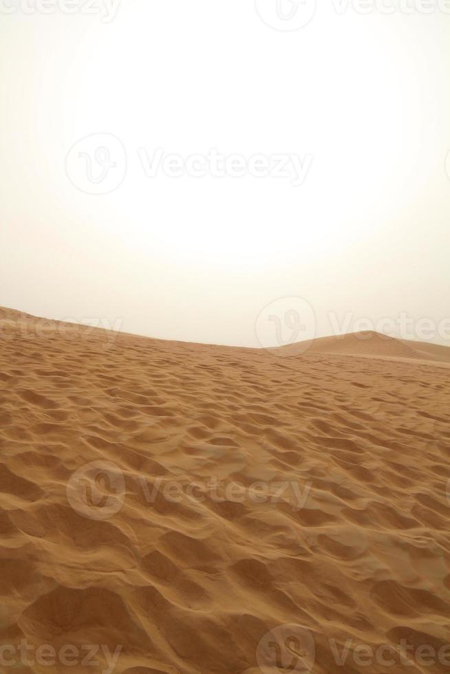 Dubai desert view photo