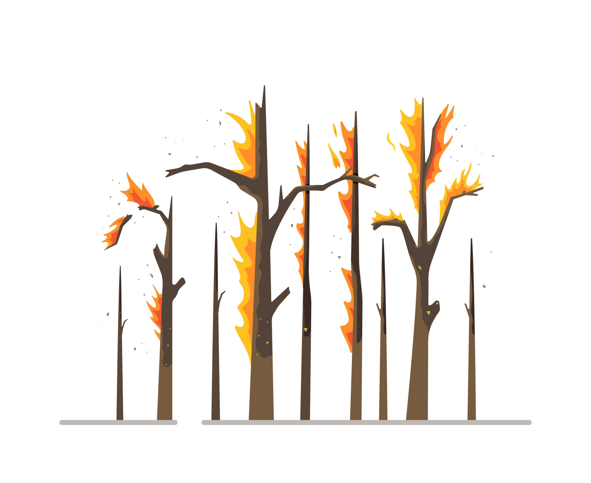 Vector illustration of burned trees. Dry burning trees isolated on