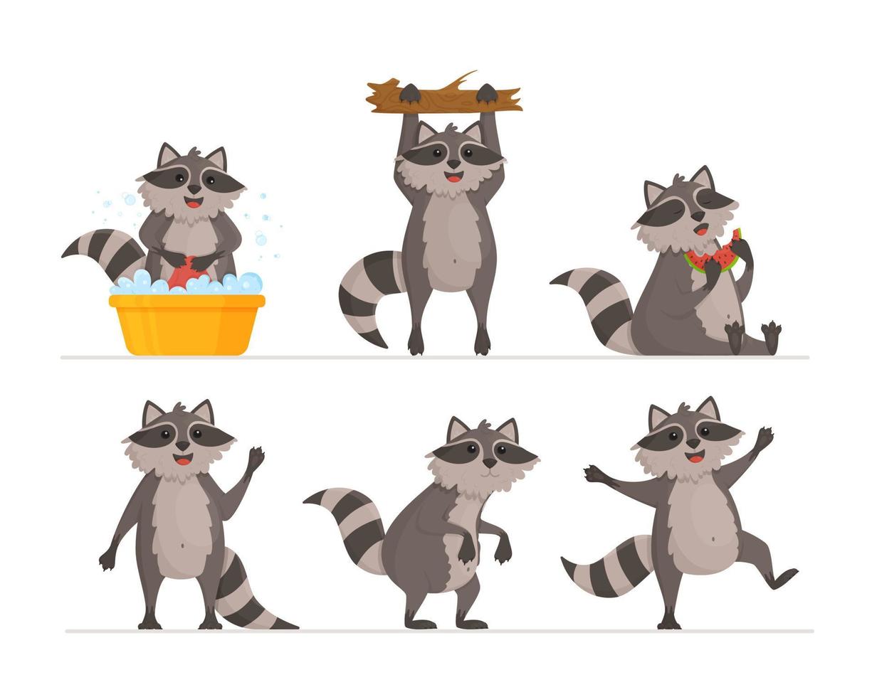 A set of cute raccoon in different poses. Vector illustration of a furry animal doing different actions. A domestic animal.