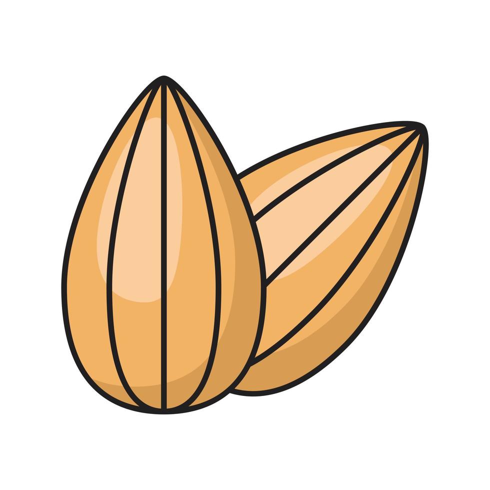 ilustración vectorial de almendras en un fondo. símbolos de calidad premium. iconos vectoriales para concepto y diseño gráfico. vector