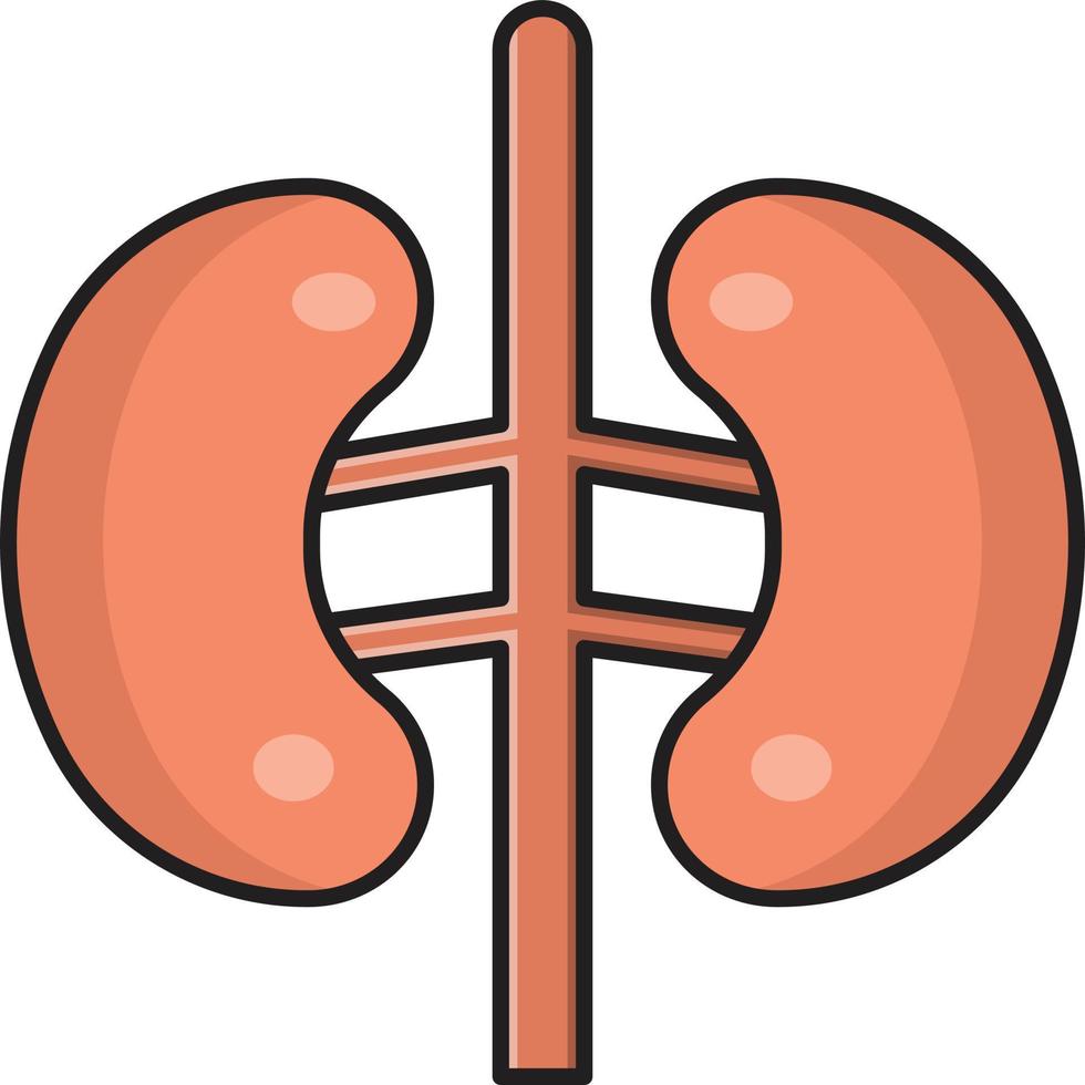 ilustración de vector de riñón en un fondo. símbolos de calidad premium. iconos vectoriales para concepto y diseño gráfico.
