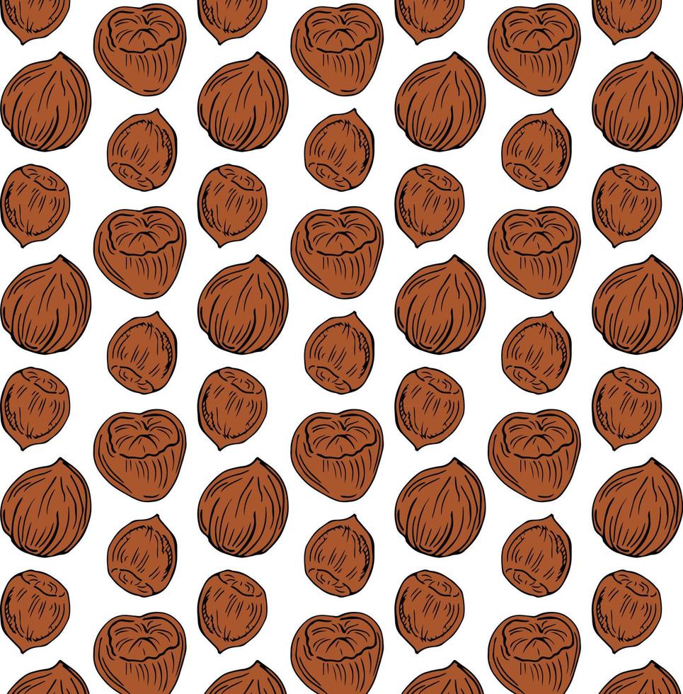 Seamless vector pattern with linear outline hazelnut. Sketches of nuts in vintage style