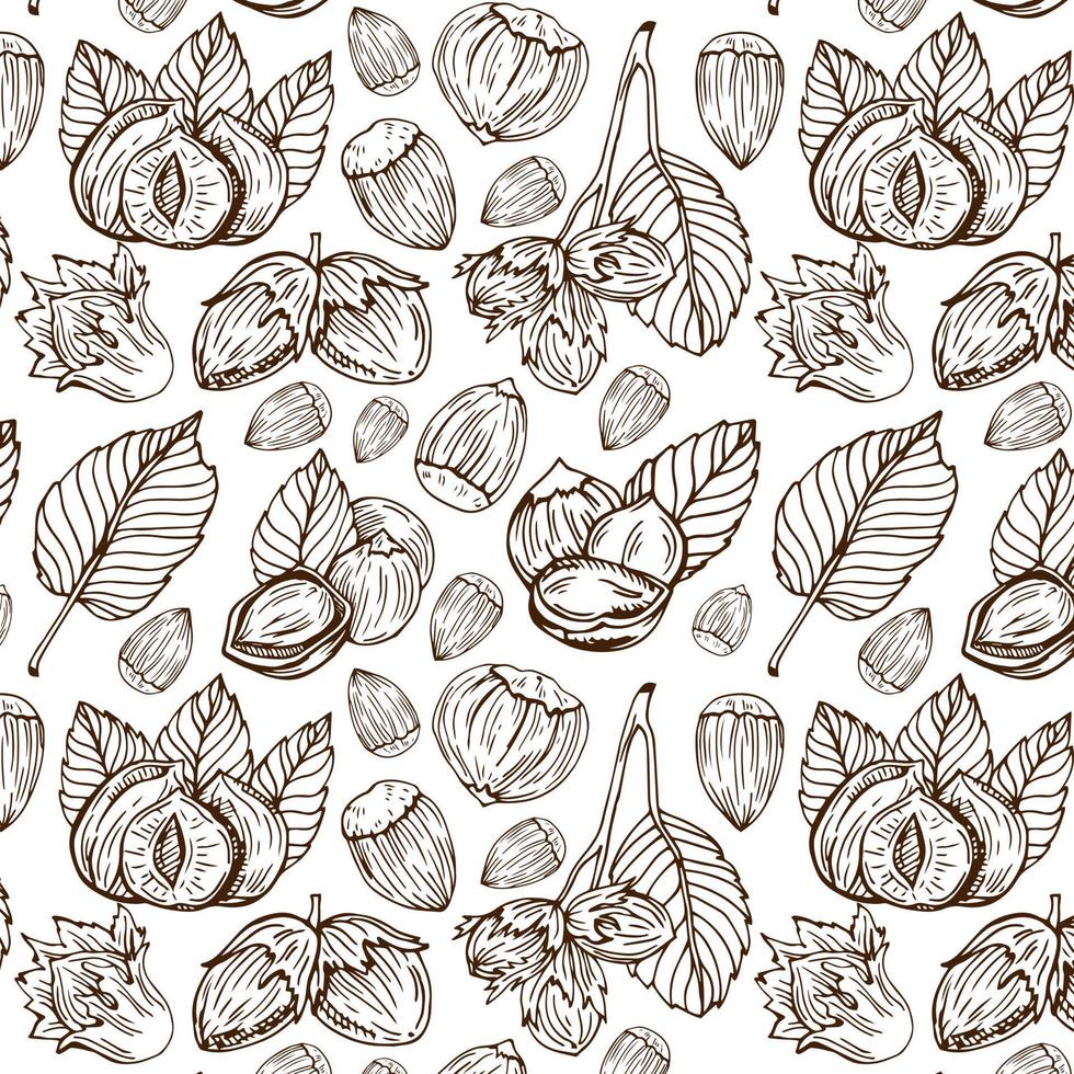 Seamless vector pattern with linear outline hazelnut. Sketches of nuts in vintage style